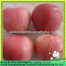 China apple red star supplier